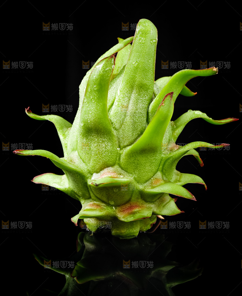 黑底上的火龙果