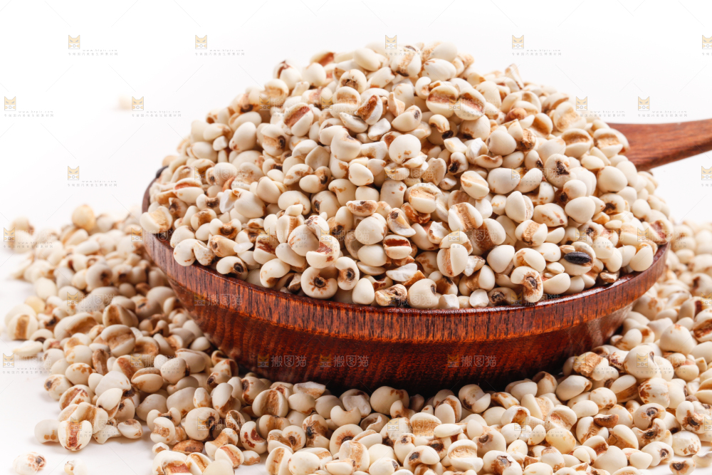 浅底上放着贵州薏米
