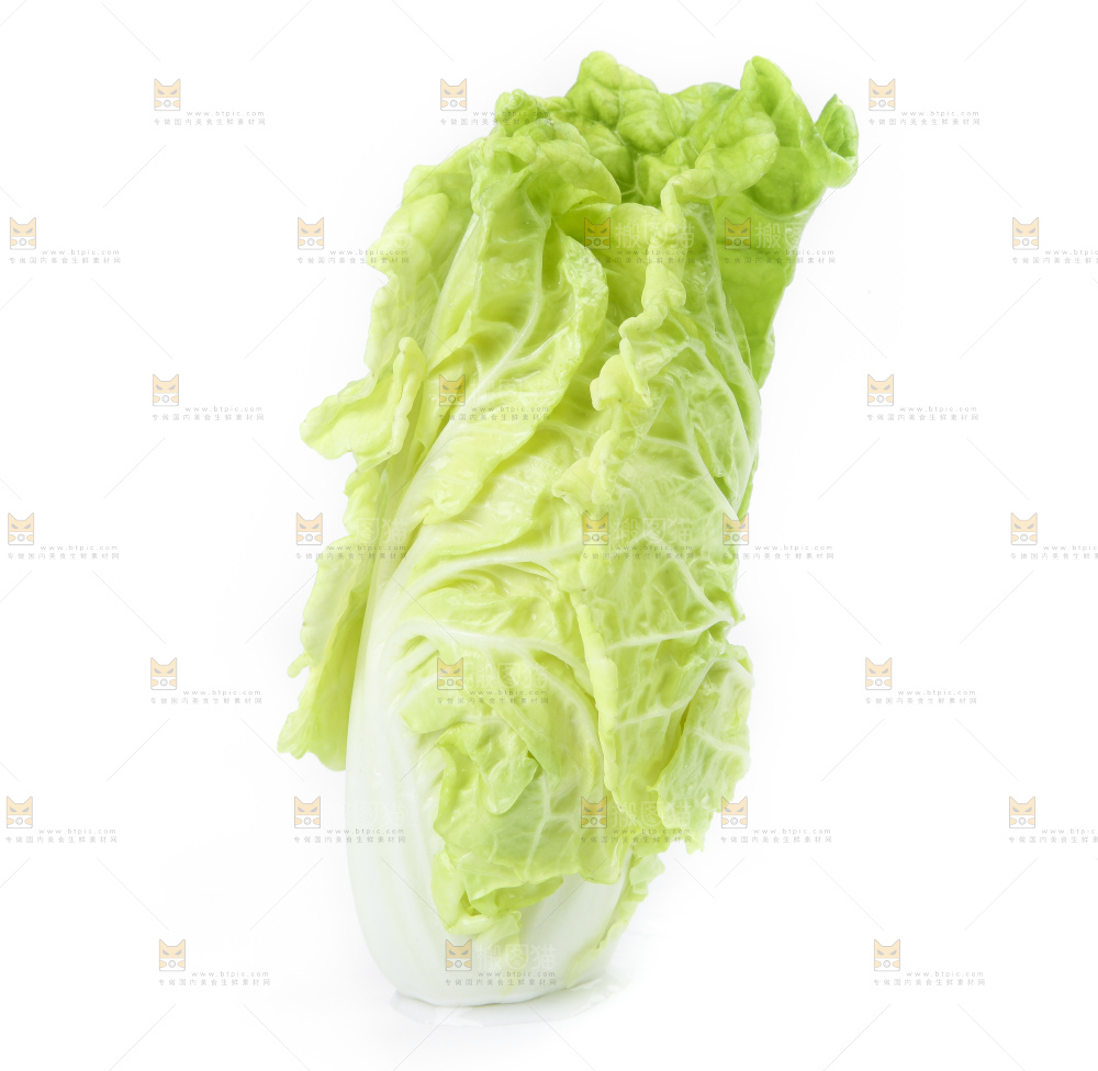 白底上放着大白菜