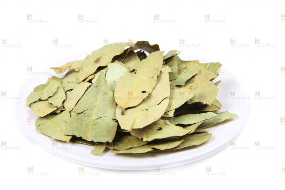 白底上的香桂叶