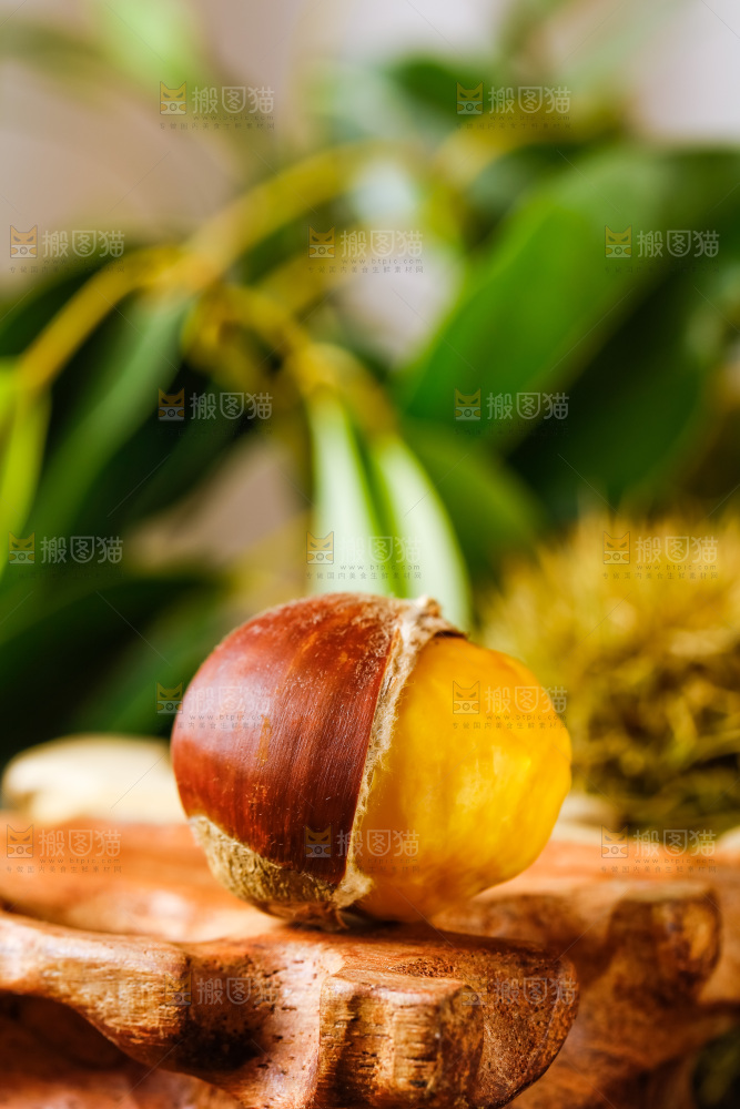 深底上的迁西板栗