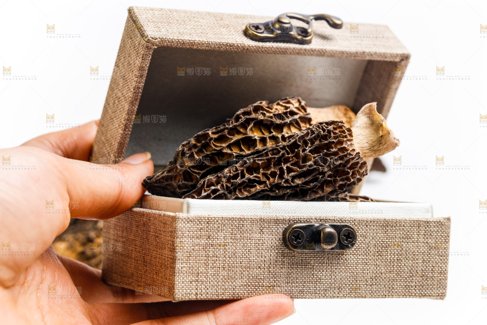 箱子里装着云南羊肚菌