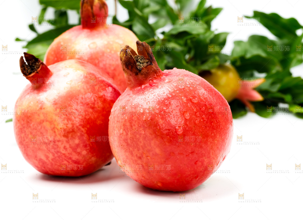 浅底上的软籽石榴