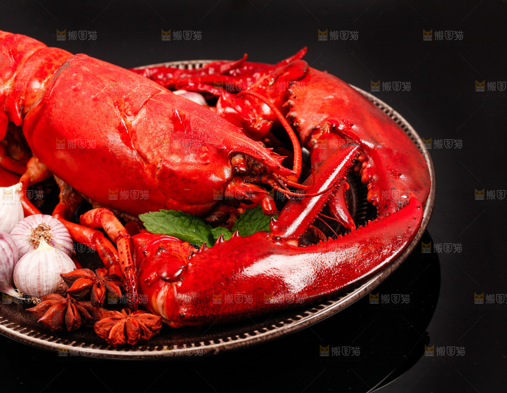 黑底上放着澳洲大龙虾