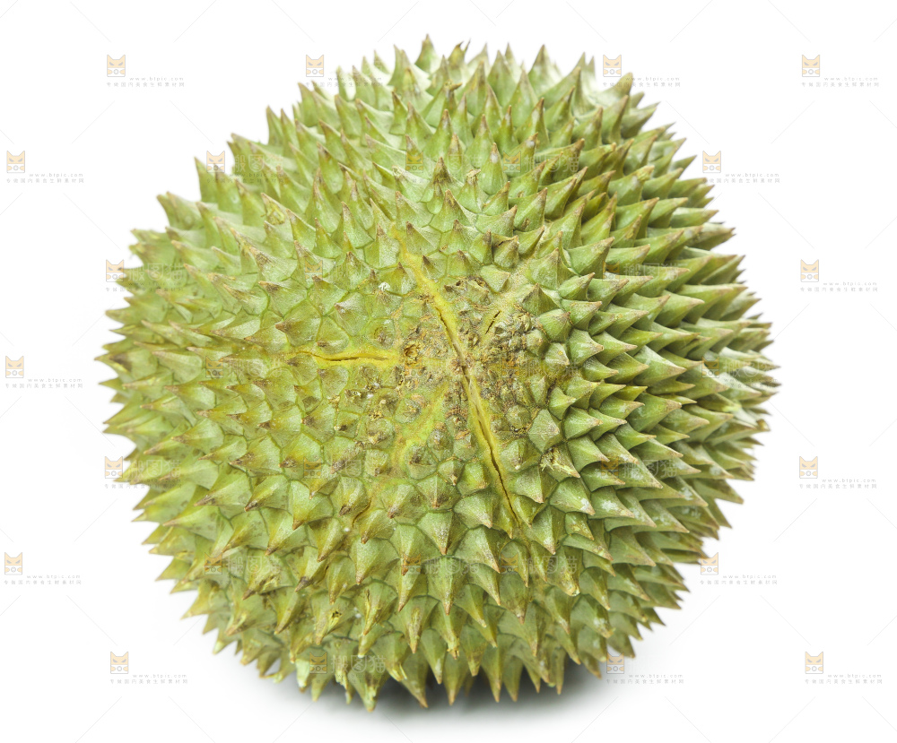 白底上放着泰国金枕榴莲