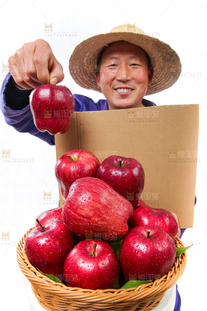 农民手里拿着天水花牛苹果