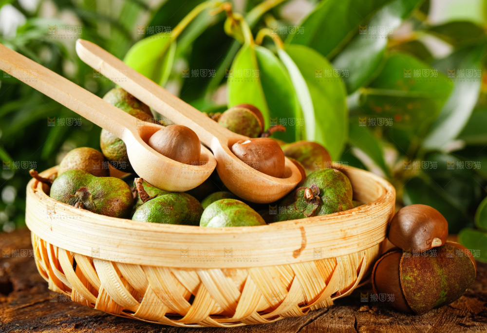 深底上的茶树果