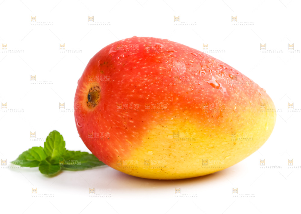 海南贵妃芒放在白底上