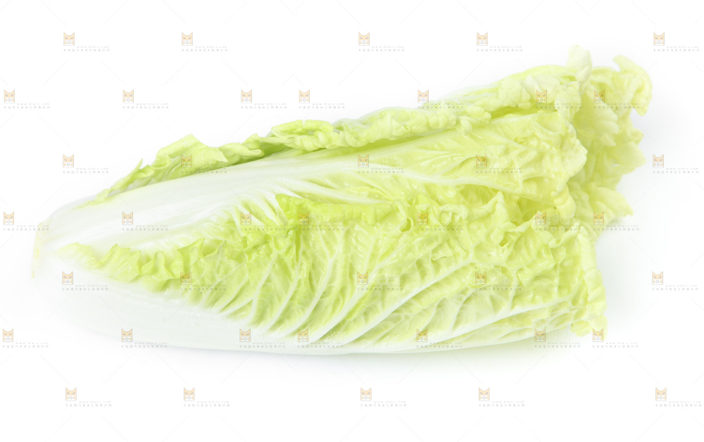 白底上放着大白菜