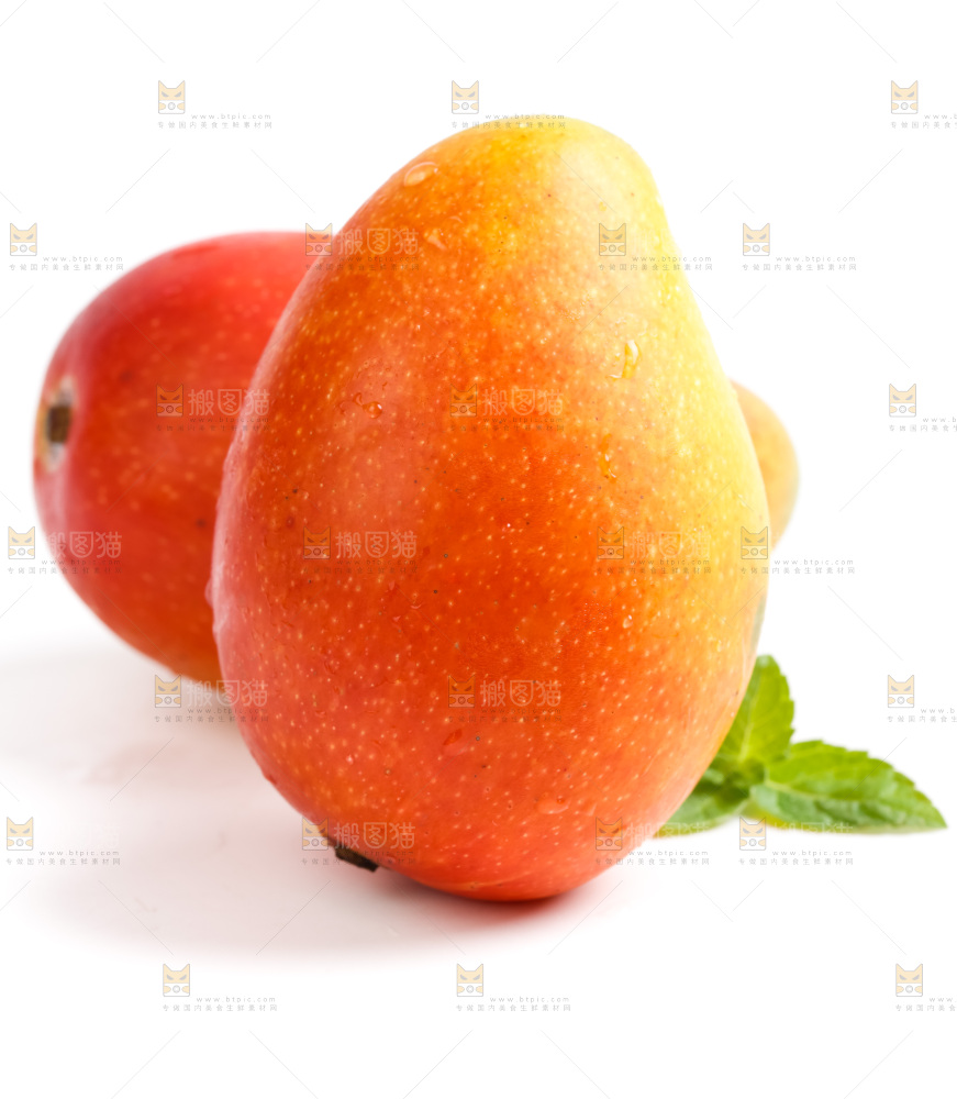 海南贵妃芒放在白底上