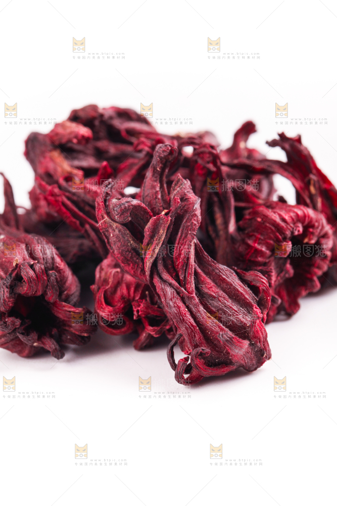 白底上的玫瑰茄