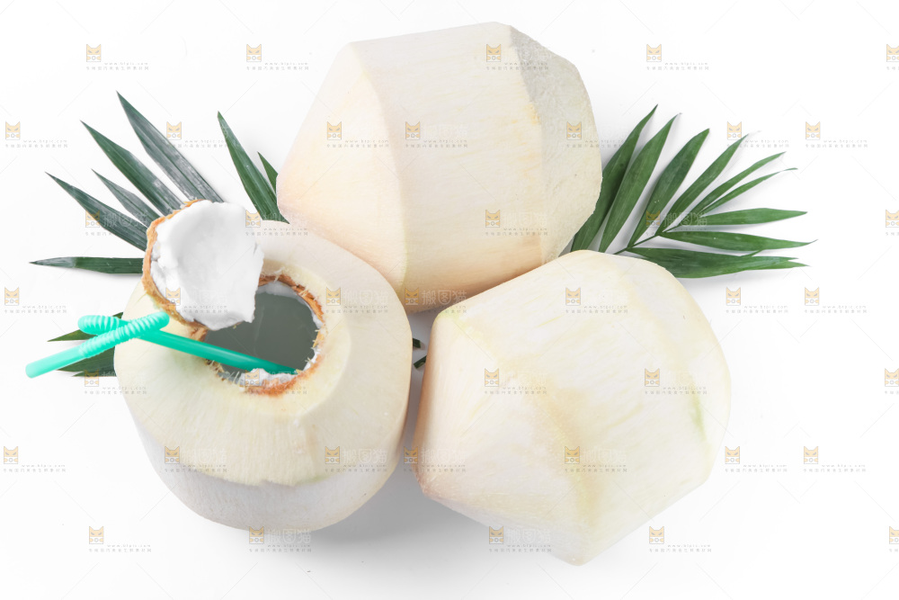 白底上青椰子