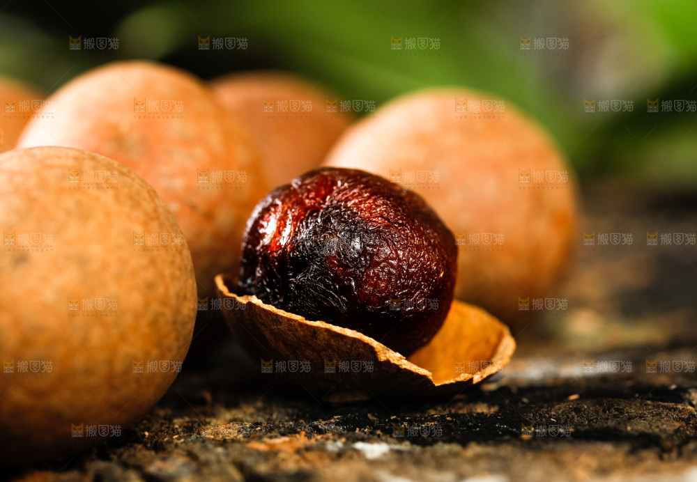 木底上的桂圆干