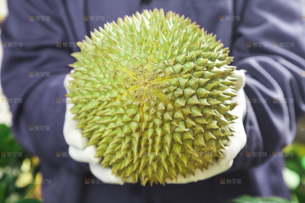 手里拿着新鲜榴莲