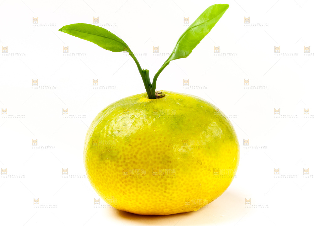 白底上的青皮蜜橘