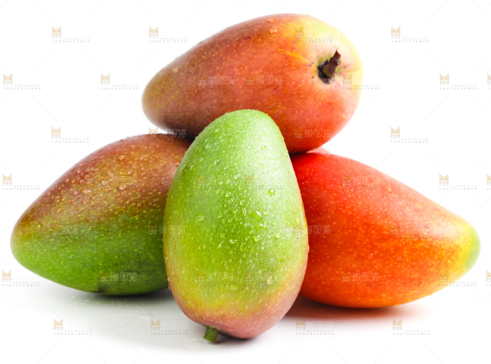 海南贵妃芒放在白底上