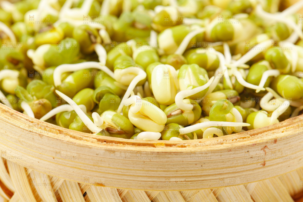 白底上的绿豆芽