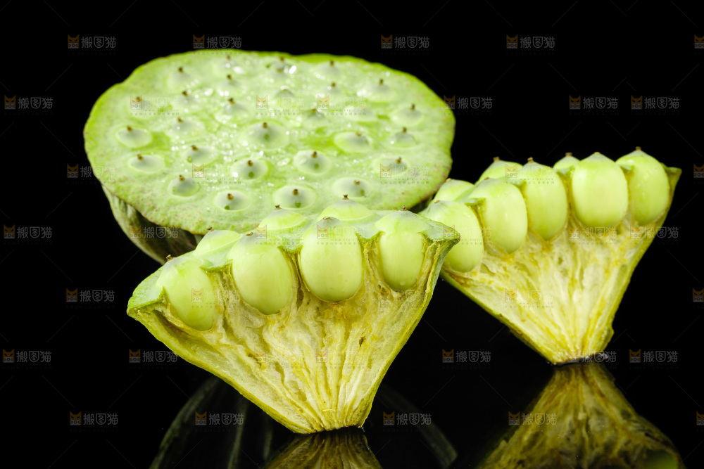 黑底上的嫩莲蓬