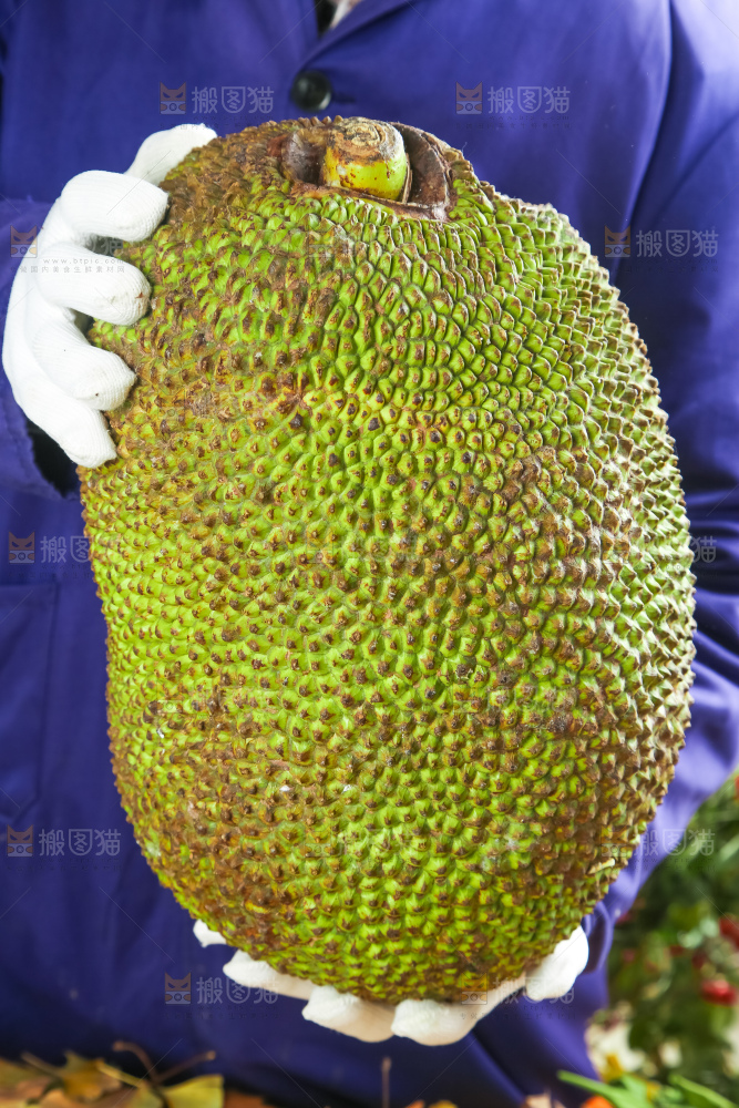 浅底上的泰国红心菠萝蜜