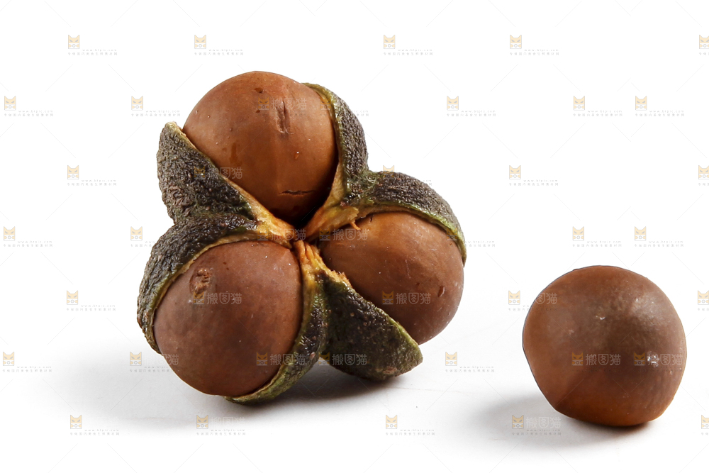 白底上的茶树果
