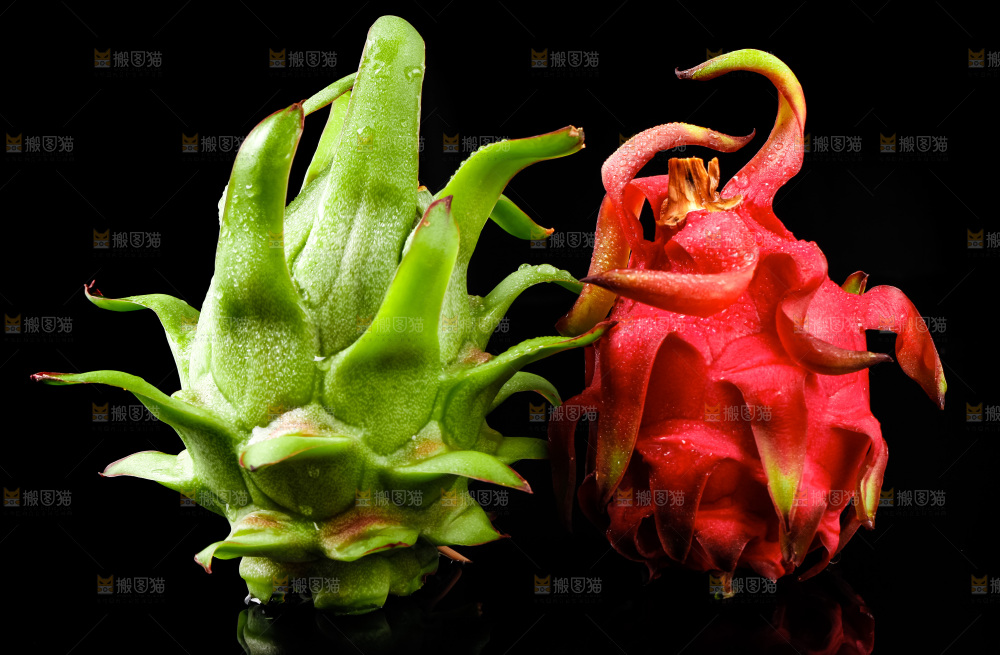 黑底上的火龙果