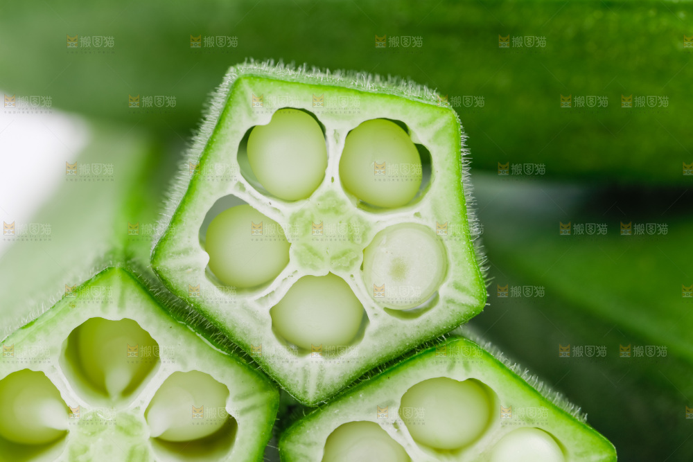 白底上的新鲜秋葵