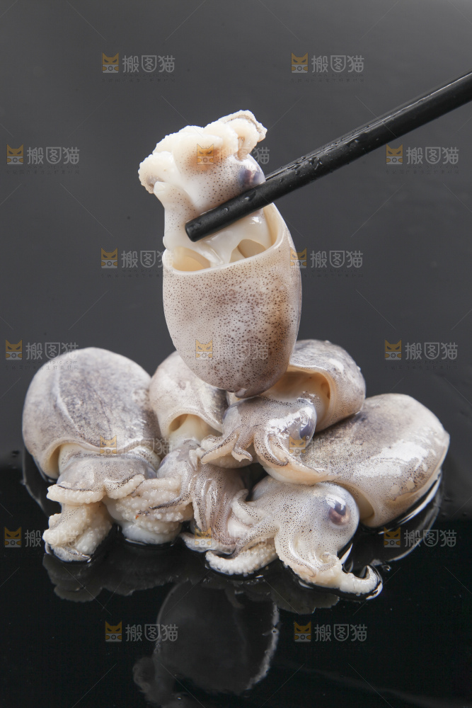 黑底上放着乌贼鱼