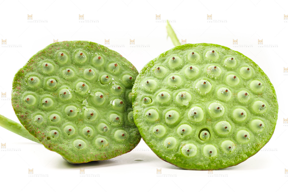 白底上的莲蓬