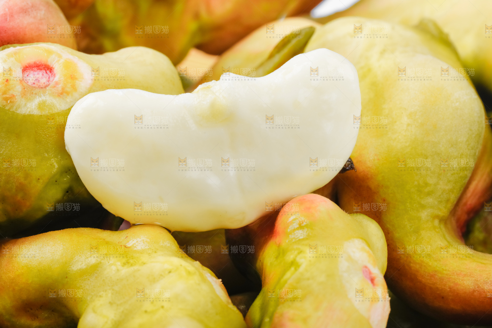 菱角
