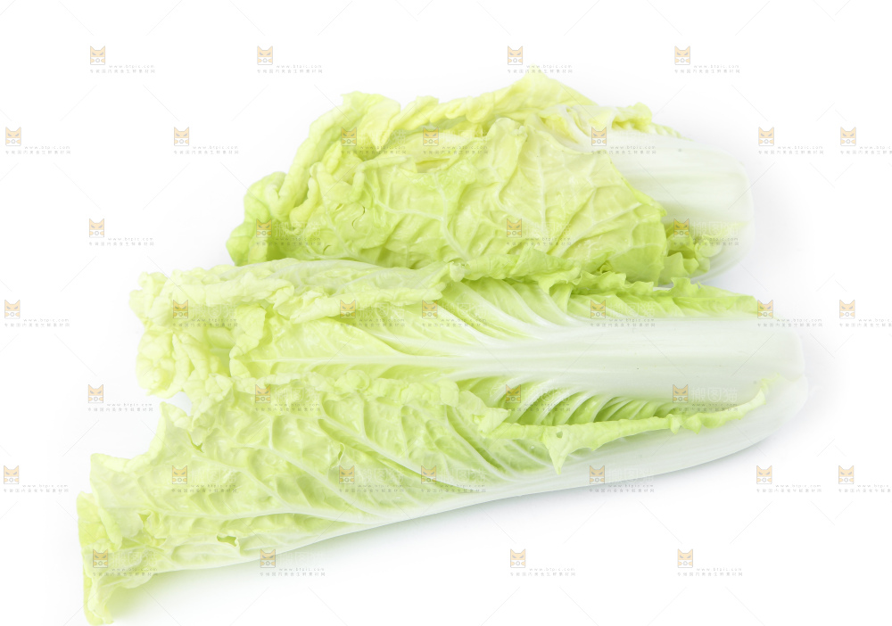 白底上放着大白菜