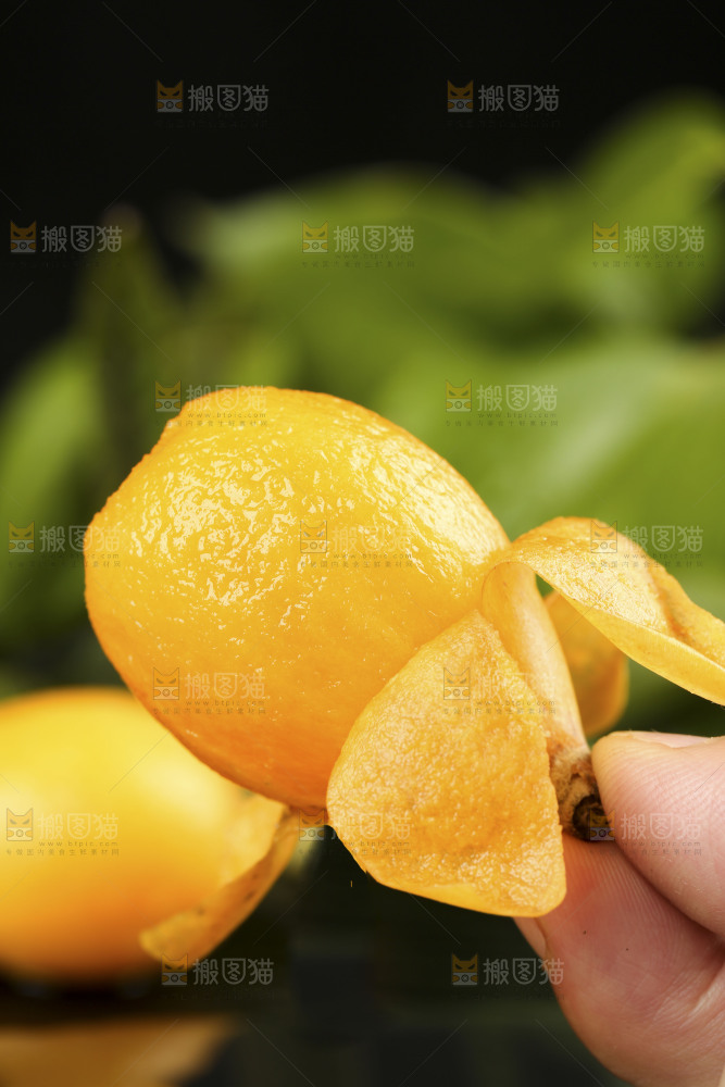 手里拿着新鲜枇杷
