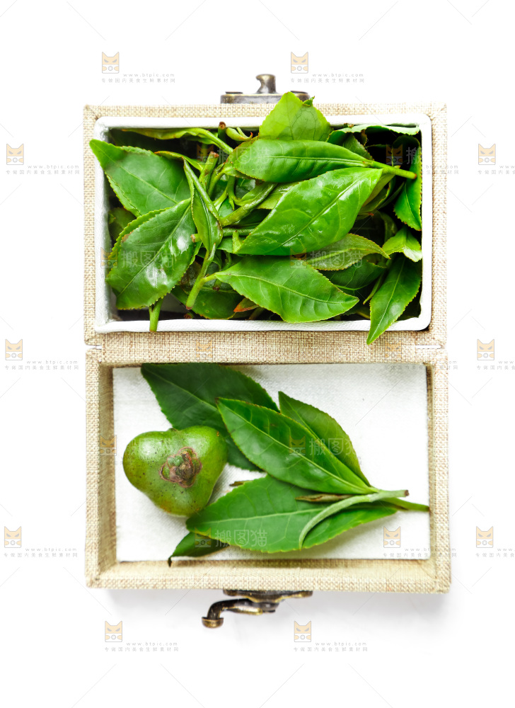 盒子里的新鲜茶叶
