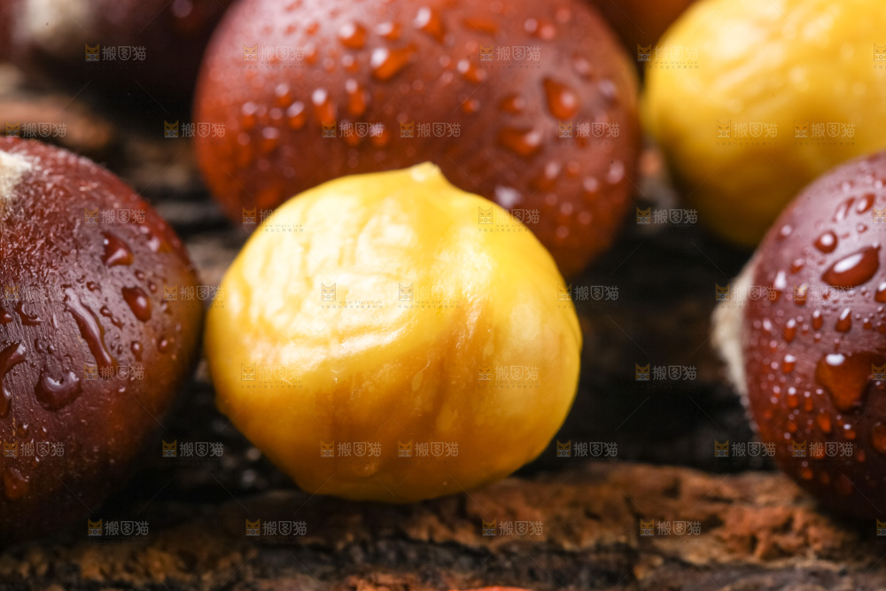 木底上的毛栗子