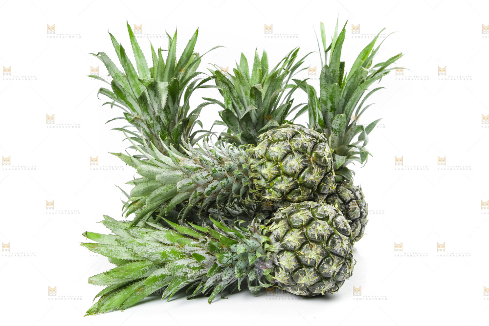 白底上放着泰国小菠萝