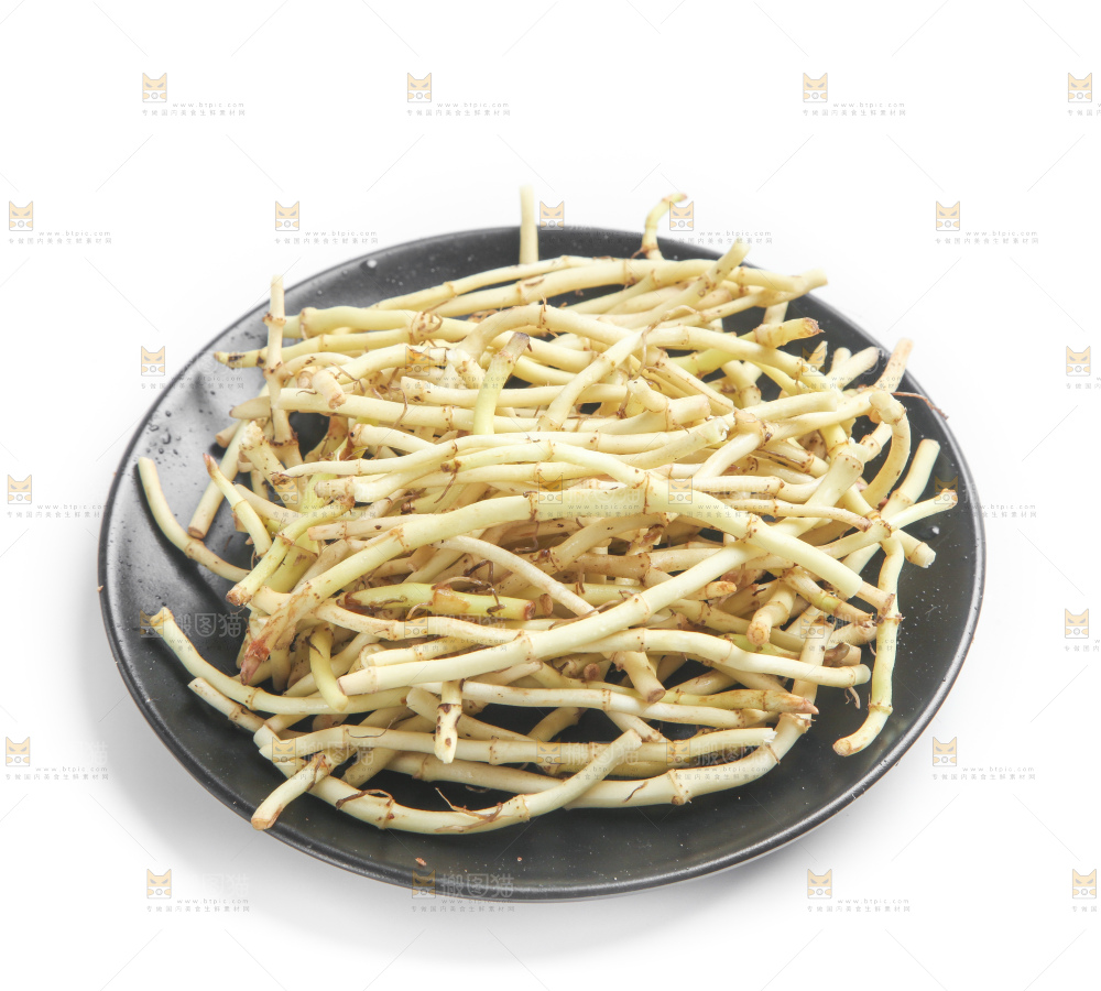 白底上的鱼腥草