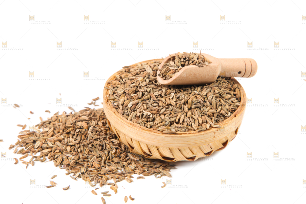 白底上一堆小茴香