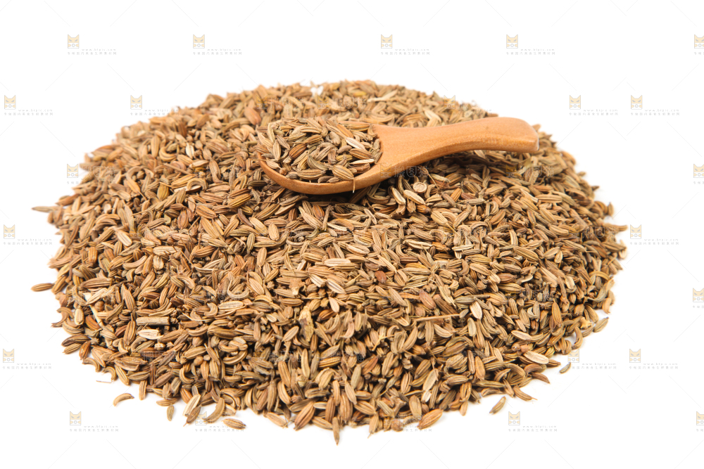 白底上一堆小茴香