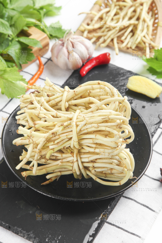 石板上的鱼腥草