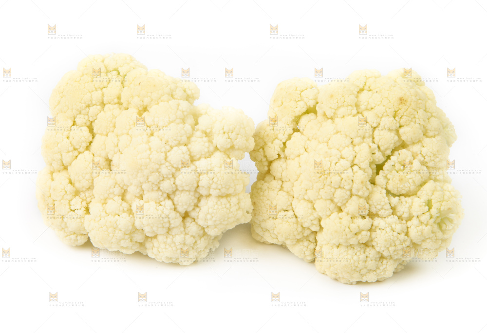 白底上的白花菜