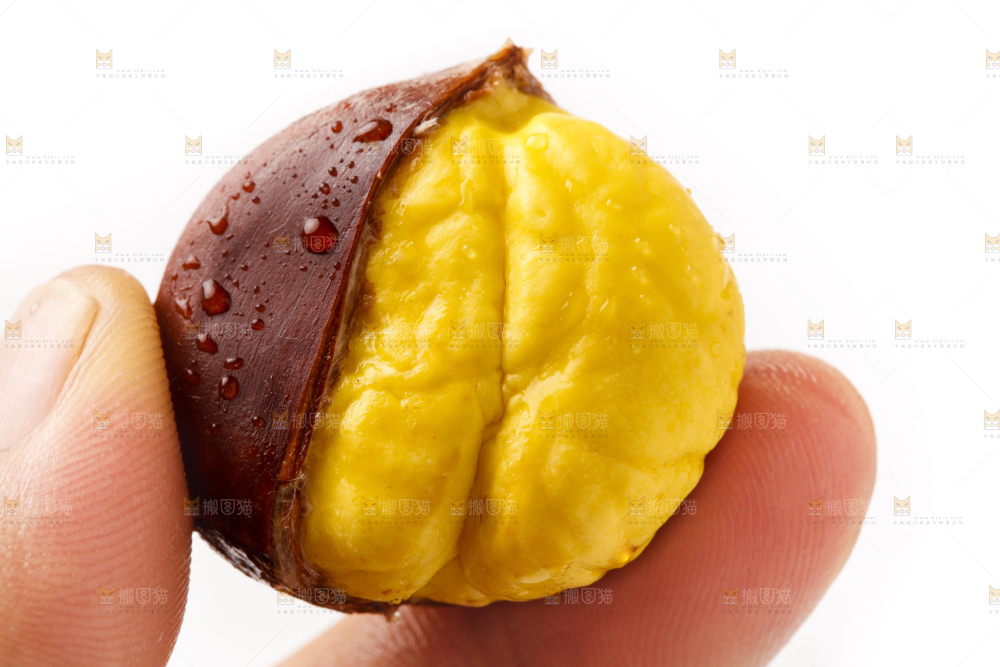 白底上的新鲜板栗