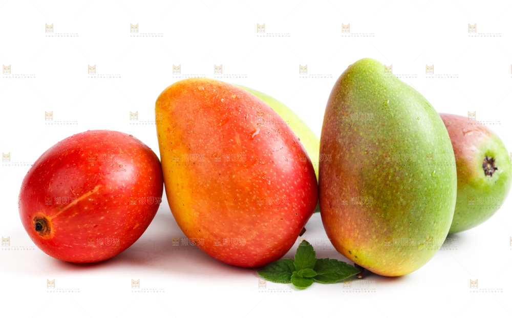 海南贵妃芒放在白底上