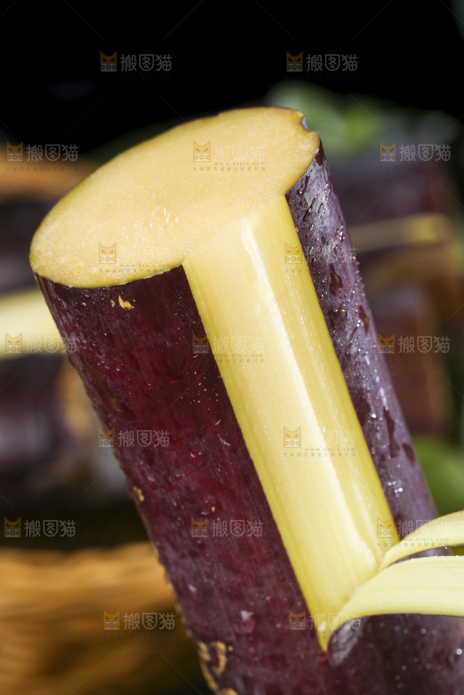 手里拿着广西黑皮甘蔗