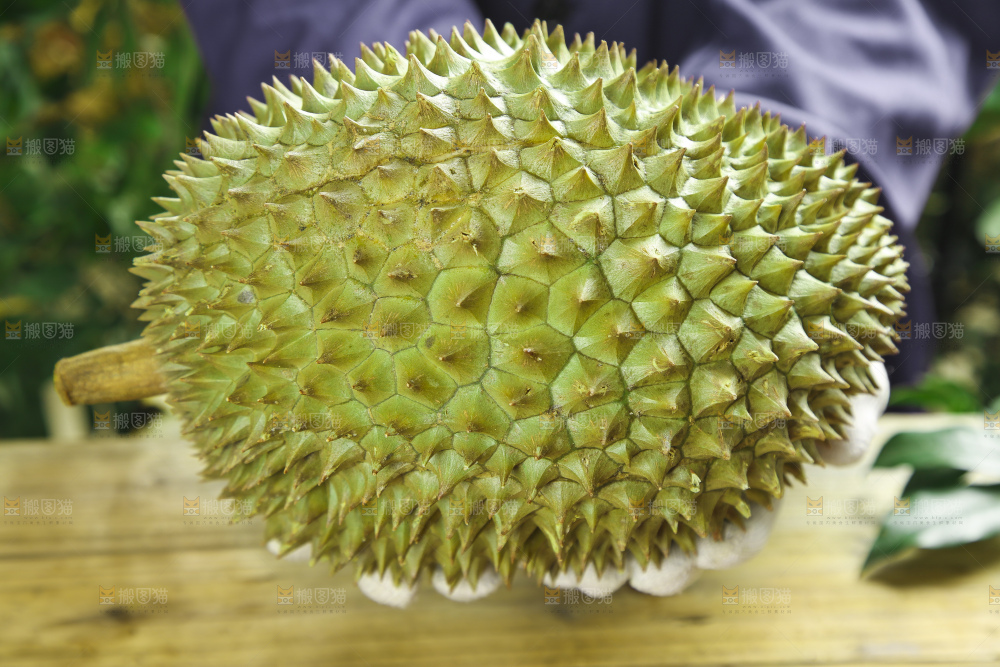 手里拿着新鲜榴莲