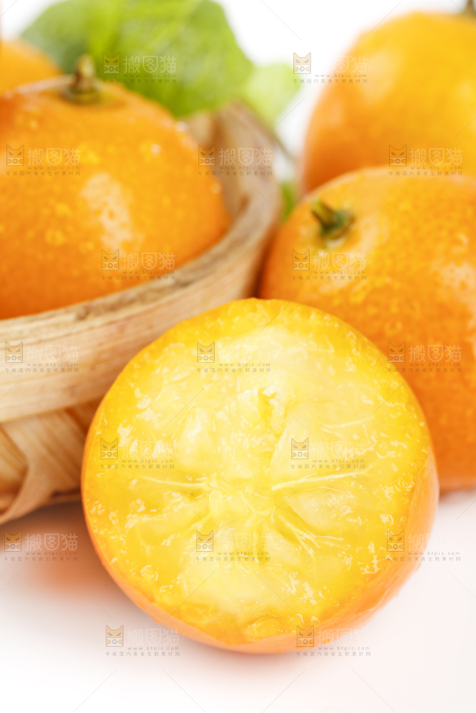 白底上的金钱橘