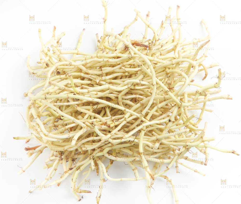 白底上的鱼腥草