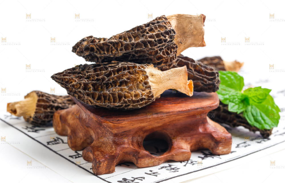 浅底上的云南羊肚菌