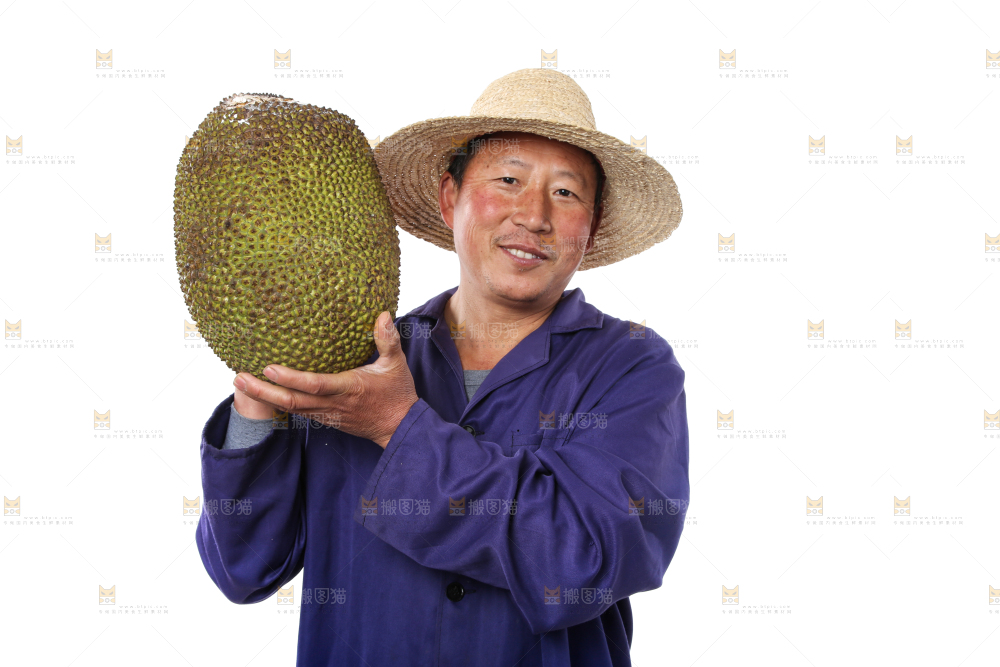 农民手里拿着菠萝蜜