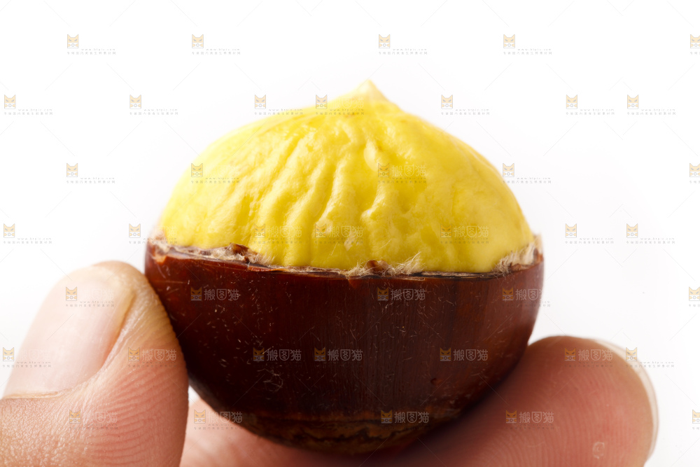 白底上的新鲜板栗