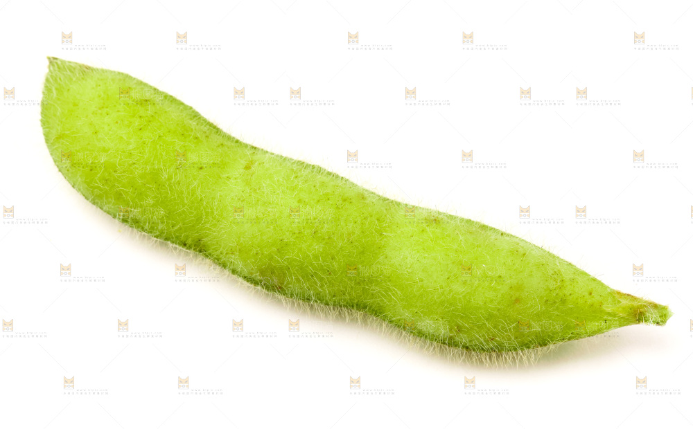 白底上的毛豆