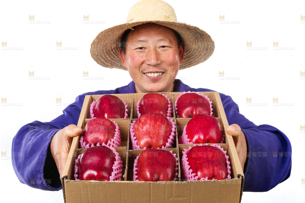 农民手里抱着花牛苹果